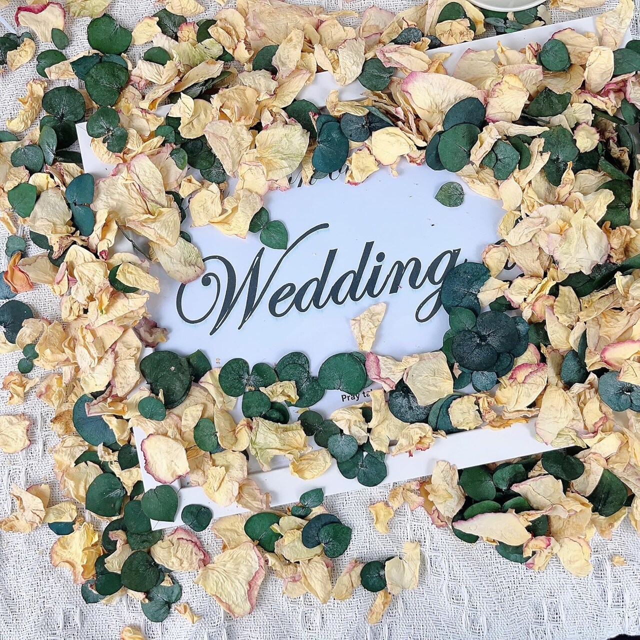 20+ Cups of Mix Dried Bio Flower Rose Petals Confetti, 2 QT Ivory White Roses & Eucalyptus Leaves, Real Petals for Wedding Parties Romantic Gifts
